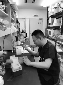 基礎研究施行状況2