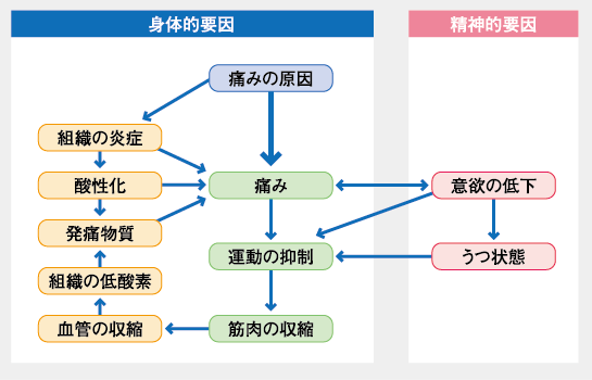 図：痛みの要因