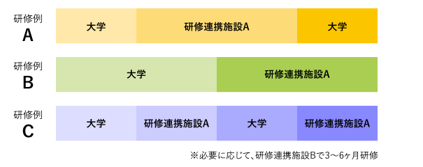 図：研修過程