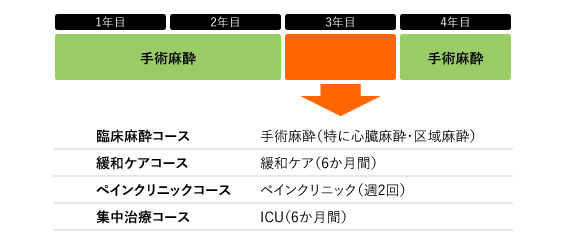 図:サブスペシャリティ研修