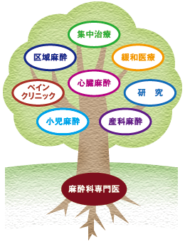 図：麻酔科領域における専門医