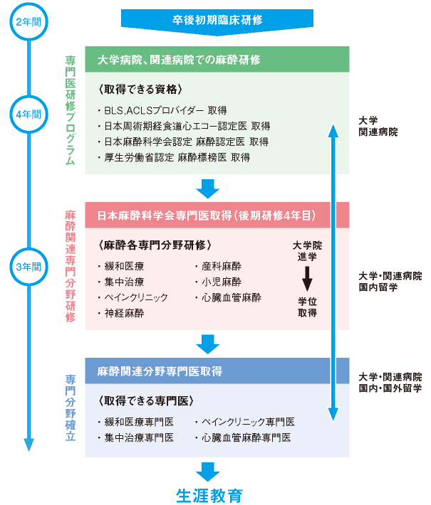 図：麻酔科領域における専門医